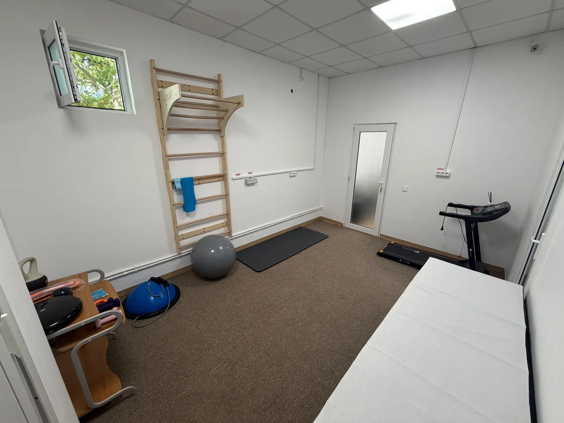 A room with wall bars, a mat, an exercise ball and exercise equipment.