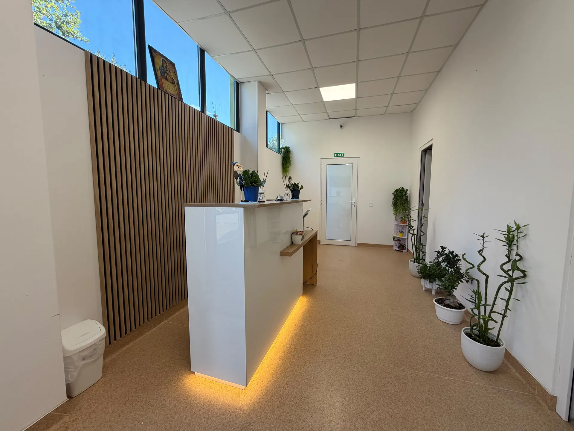 The entrance area, with a white reception desk, wood panels and plants.